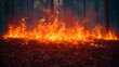 Forest Fire Wildfire