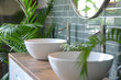 Close-up for the bathroom's circular white washbasins and plant. interior design, domestic life, and the house.