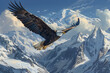 bald eagle in the mountains