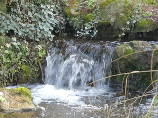 Wall Mural - Jolie cascade dans un jardin