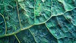 Tropical leaf texture with intricate veins and cells, macrophotography