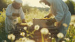 Beekeepers working in a bee farm