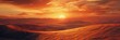 © CreativeCreations - In the Sahara, sand dunes stretch out under the setting sun, casting long shadows as wispy clouds drift by, painting the sky in hues of yellow to red.