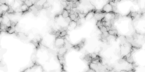 Wall Mural - White marble texture and background. black and white marbling surface stone wall tiles and floor tiles texture. vector illustration.	