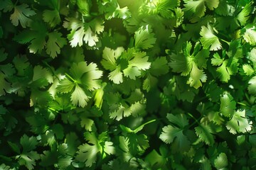 Poster - Detailed close up of fresh green leaves, perfect for nature backgrounds