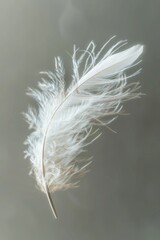 Poster - A delicate white feather gently floating in the air. Perfect for adding a touch of elegance to any design project