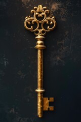 Poster - A shiny golden key on a dark black background. Ideal for concepts of security and unlocking potential