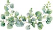 Detailed watercolor painting of a eucalyptus branch, ideal for botanical illustrations or nature-themed designs