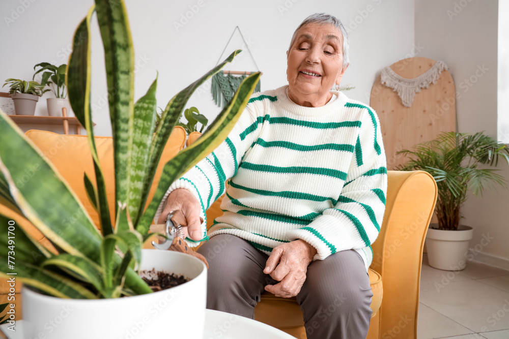 Senior gardener cutting off plant's leaf at home