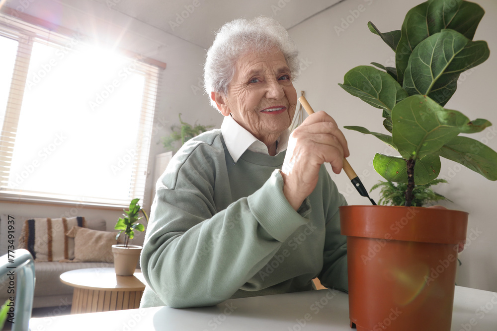 Senior gardener with shovel and plant on table at home