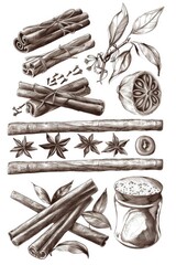 Poster - A collection of cinnamons and spices on a plain white background. Ideal for culinary or wellness concepts