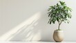 Simple potted plant decor, suitable for home or office