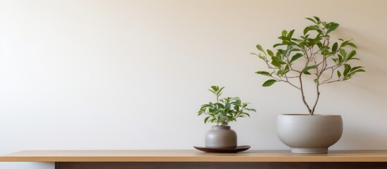 Poster - Two green potted plants placed on a wooden table, situated against a plain white wall in a room