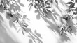 Black and white photo of leaves on a wall, suitable for nature or abstract backgrounds