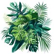 Vibrant tropical plant bush illustration, featuring monstera, palm, rubber plant, pine, and bird's nest fern leaves on a white background.