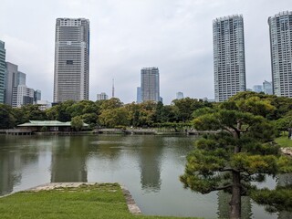 Canvas Print - hama-rikyu gardens, these former imperial and shogunate gardens are a lesser-known oasis in the middle of the metropolis