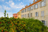 Fototapeta Uliczki - Orange trees full of fruit alongside the traditional colorful buildings of Menton, France, along the Cote d'Azur French Riviera.