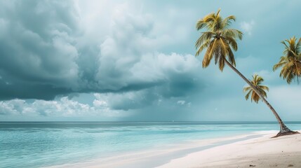 Wall Mural - Palm trees and a moody sky complete a beautiful beach scene, perfect for a summer vacation or travel background, reminiscent of Maldives paradise