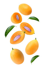 Wall Mural - Fresh Marian plum (plum mango) with leaf flying in the air isolated on white background.