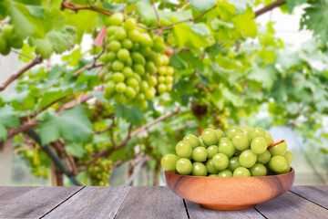 Wall Mural - Bunch of green grapes in wooden bowl with vineyard background