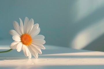 Wall Mural - A single Daisy petals on a clean white table in natural light, minimalist composition, Generative AI