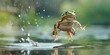 Frog leaping in the air