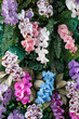 imitation flower,Colorful artificial orchids in the garden. Beautiful flowers background.