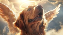 Radiant Spaniel With Wings And Halo - This Work Captures A Spaniel Angelically With Outstretched Wings Amidst A Divine Light From Above
