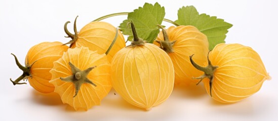 Wall Mural - A detailed view of a cluster of ripe yellow berries surrounded by vibrant green leaves