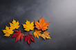 Autumn leaves with copy-space background concept, blank space. Place to adding text blank copy space. Autumn Ablaze: Copy-Space Background with Leaves