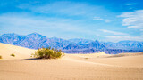 Fototapeta Góry - Mesquite Flat Sand Dunes