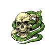 vector illustration of a green snake coiled around a skull, tattoo design on a white background
