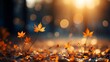 Autumn background with border of orange, gold and red maple leaves on nature park on background of sunlight with soft blurred beautiful bokeh