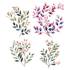 Wall Mural - Colorful watercolor floral branch collection vector