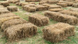 Hay straw bales used for seat outdoor. Haystack cubes