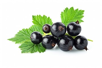 Sticker - Fresh Black Currants With Vibrant Green Leaves Isolated on White Background