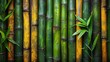   A close-up of a bamboo wall with green and yellow bamboo stalks in the foreground, and the tops of the bamboo stalks in the background