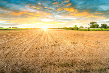 Empty dry cracked swamp reclamation soil, land plot for housing construction project with car tire print in rural area and beautiful blue sky with fresh air Land for sales landscape concept.