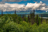 Fototapeta Zwierzęta - A national park and nature reserve shaped by glaciers over centuries. The highest mountain in North America, Denali (formerly Mount McKinley) is located here at 6,190 metres above sea level.