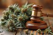 Decriminalization: Easing Legal Penalties on Marijuana