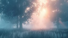 A Misty Forest Scene At Dawn With Sunlight Breaking Through The Fog Raw AI Generated Illustration