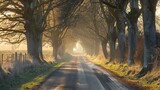 Fototapeta  - A quiet countryside road lined with trees with sunlight streaming through the branches AI generated illustration
