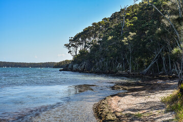 Wall Mural - Wangi Point walk