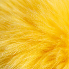 Wall Mural - Closeup of yellow fur texture