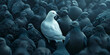 Standing out from the crowd , white bird standing between man gray birds. generative ai