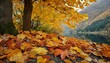 Nature's Carpet: Autumn Leaves Painting the Ground in Hues of Fall