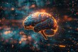 the brain in the space
