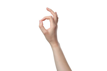 Wall Mural - PNG,female hand showing OK sign, isolated on white background