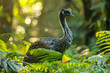 The towering Moa of New Zealand, its neck stretched high, browsing on forest foliage in dappled sunl