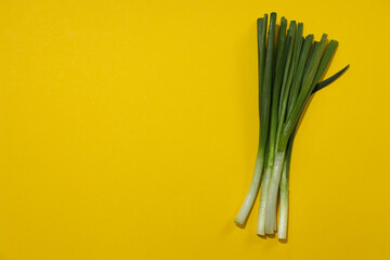 Sticker - Green onion, concept of fresh vegetable, fresh raw food